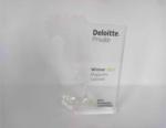 Quarta edizione “Best Managed Companies” Award Deloitte Private MAGAZZINI GABRIELLI tra le 74 aziende premiate 