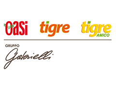 gabrielli logo nuovo 1